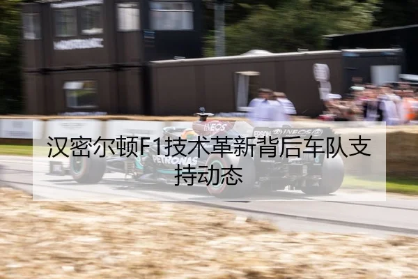 汉密尔顿F1技术革新背后车队支持动态